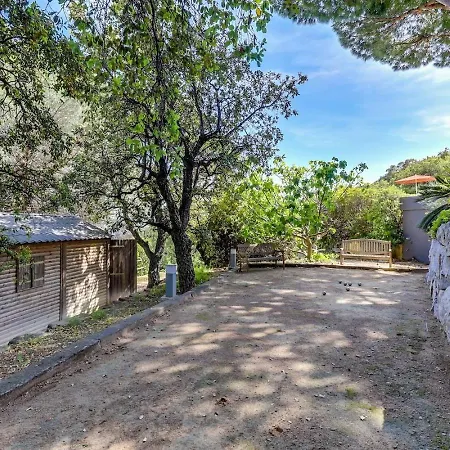Provencale Face A La * Sainte-Maxime